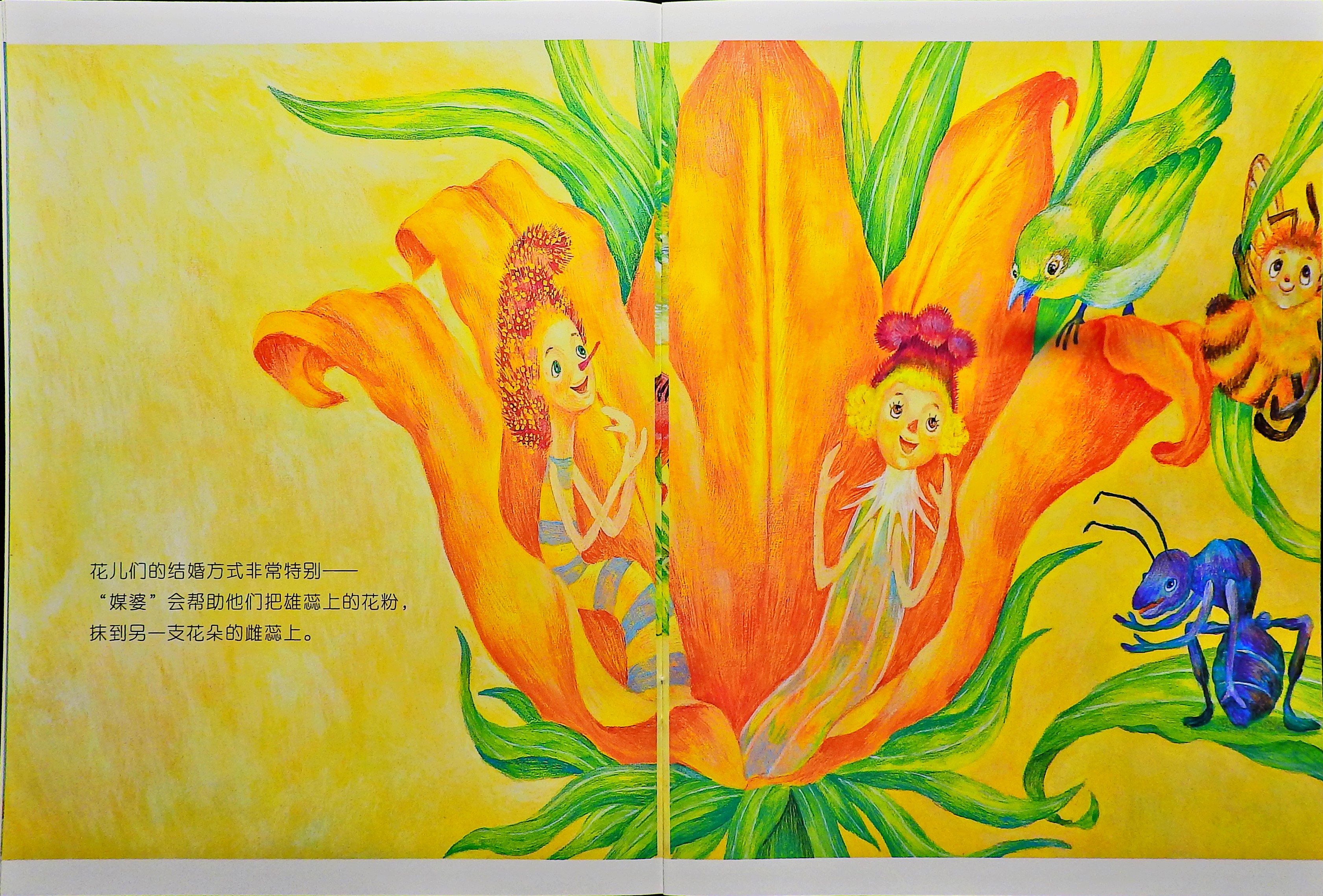 植物王国的结婚仪式 (05),绘本,绘本故事,绘本阅读,故事书,童书,图画书,课外阅读